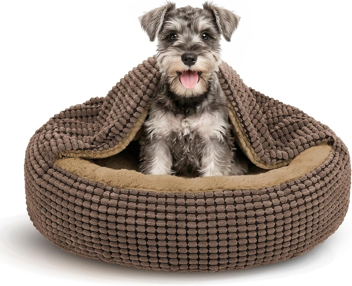 small dog bed with attached blanket, cozy donut, main product view