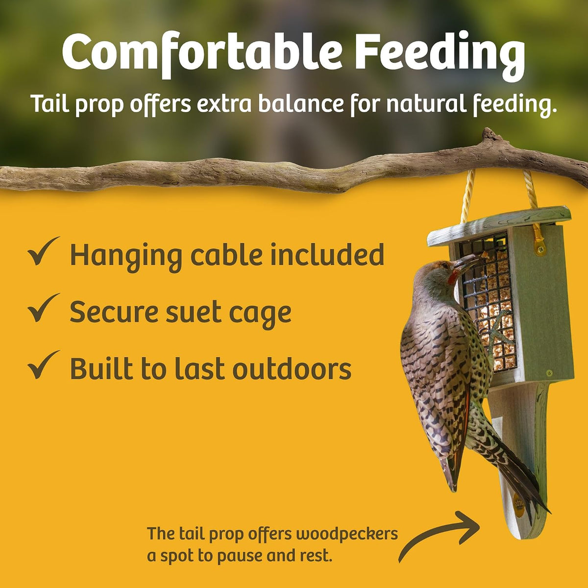 birds choice suet feeder with tail prop and, side view