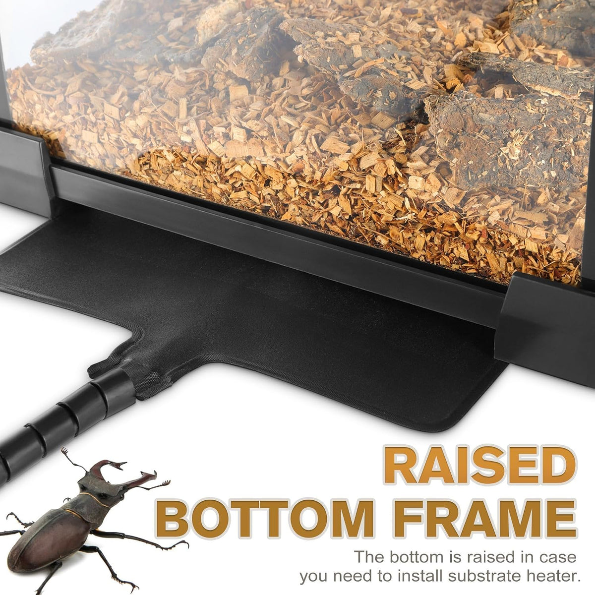 12"x8"x8" reptile terrarium, escape-proof glass terrestrial vivarium for, side view