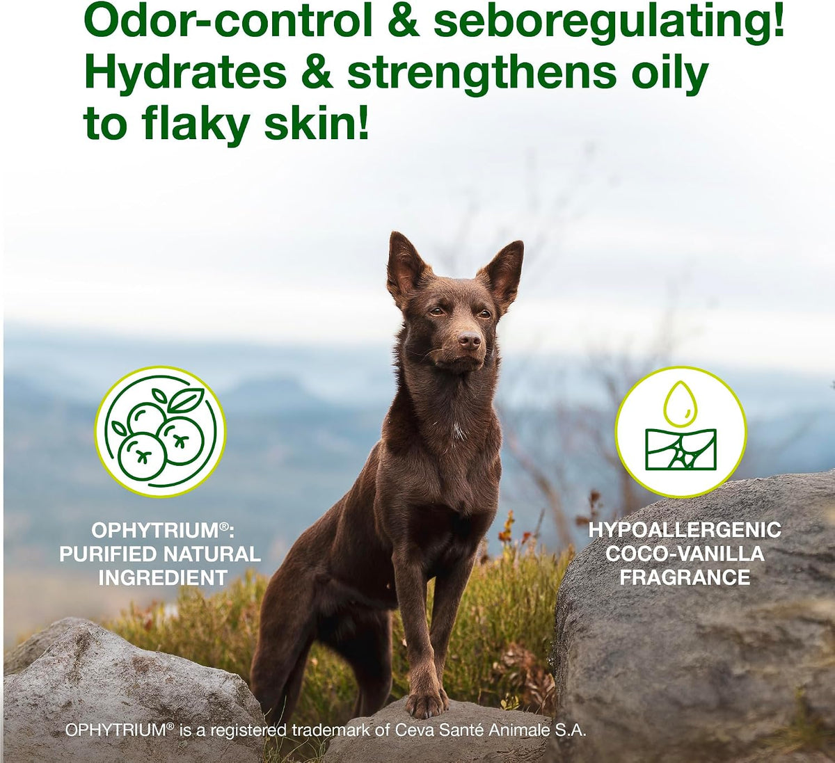 douxo s3 seb dog seboregulating shampoo 6.7 fl shown in use