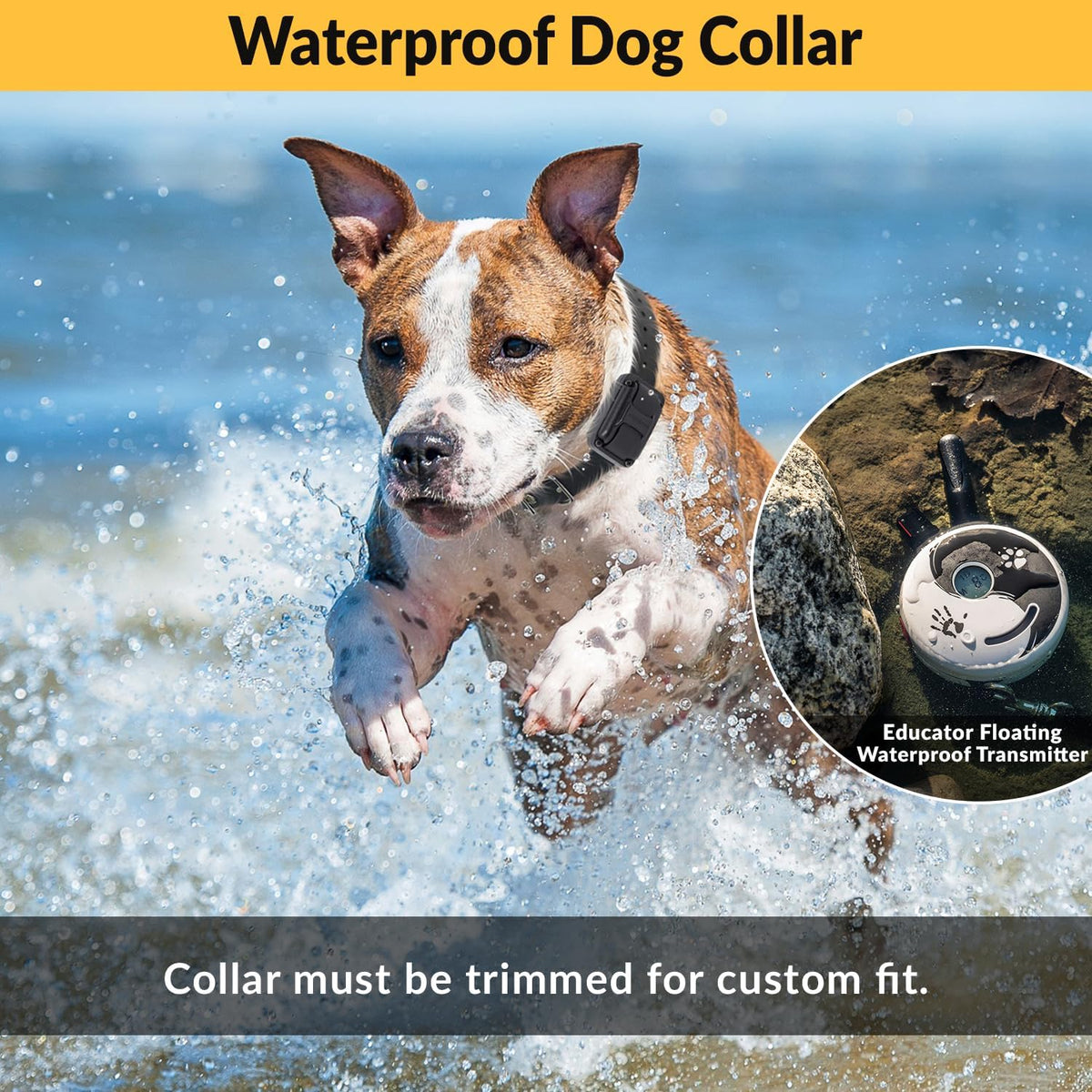 e-collar educator zen-302 dog training collar with remote showing dimensions
