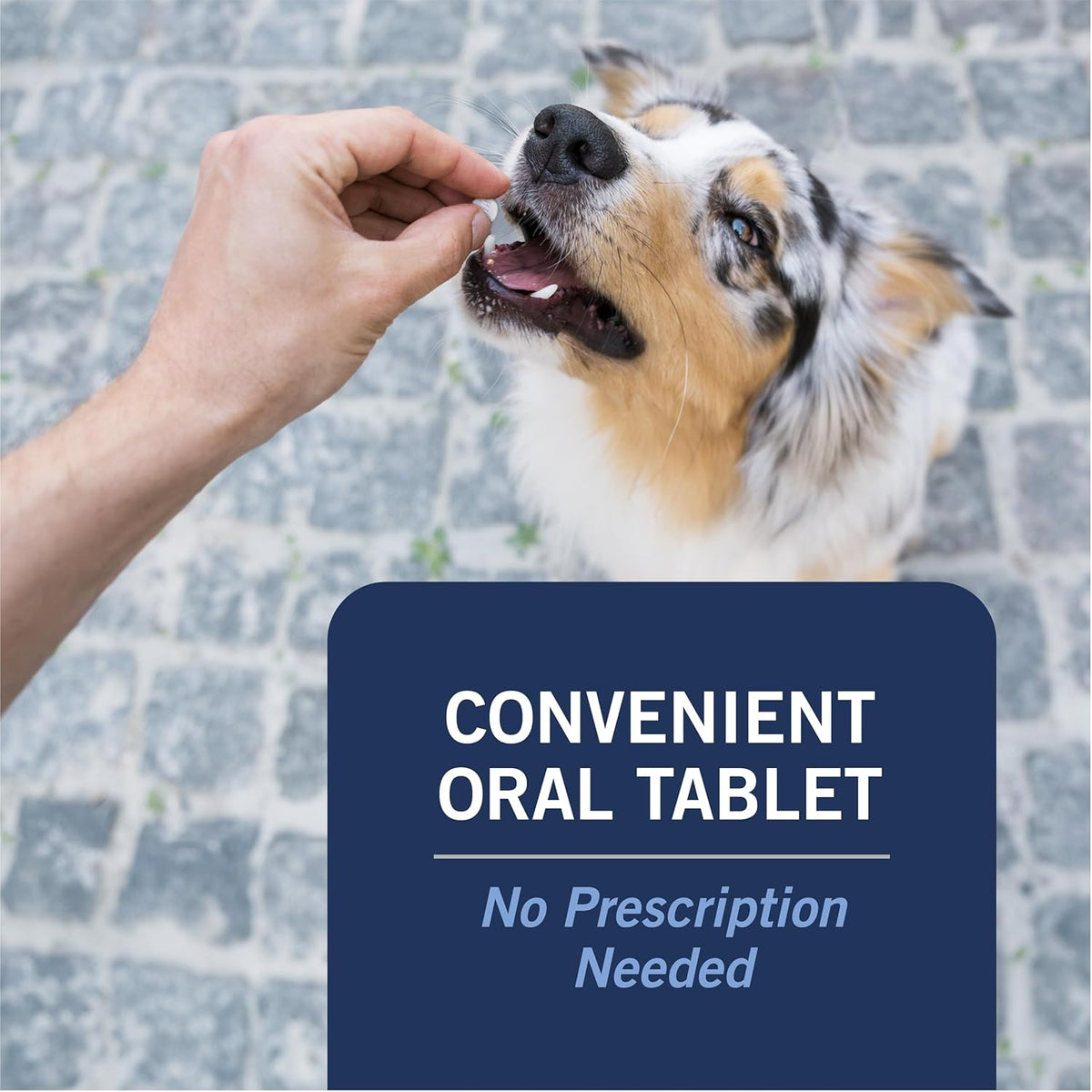 petarmor capaction oral flea tablets dogs 2-25 lbs, close-up detail