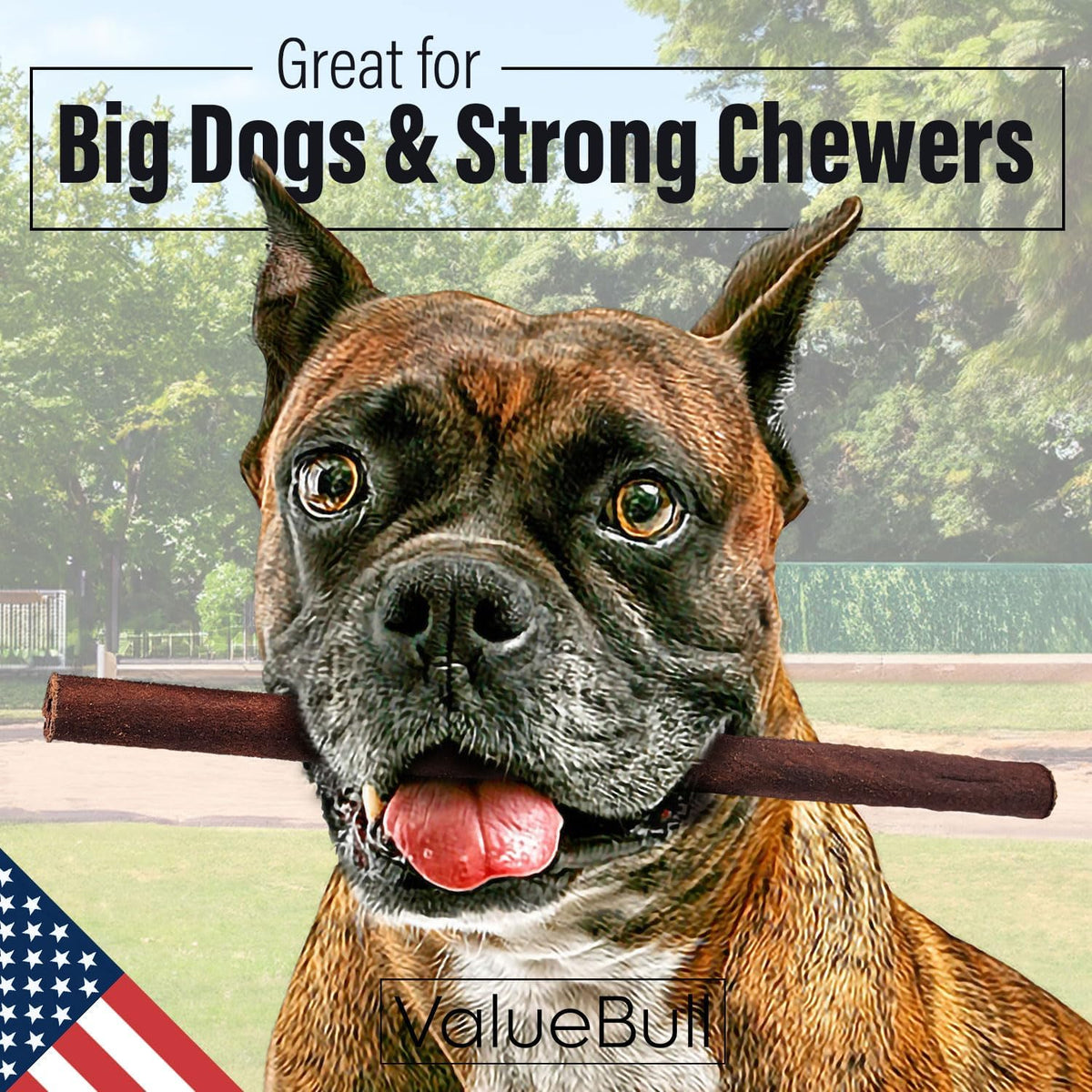 valuebull usa beef collagen sticks for dogs, 12 shown in use