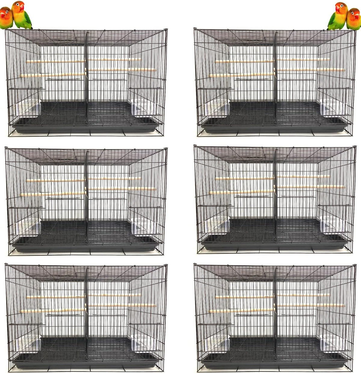 lot of 6 aviary breeding finch aviary canary, main product view