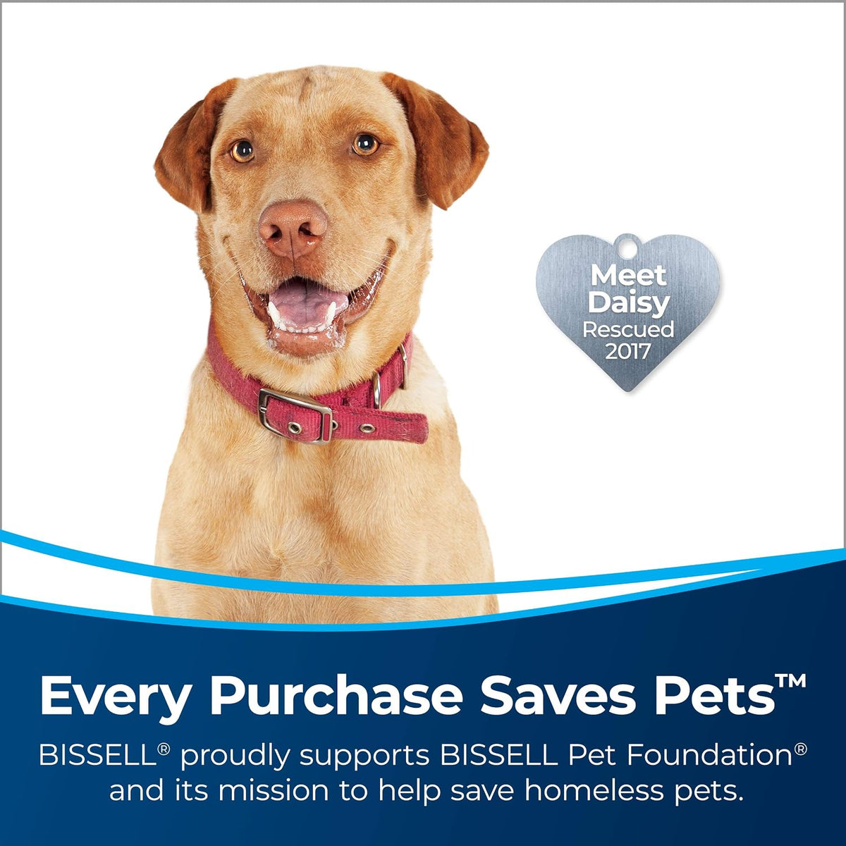 bissell multiclean allergen pet slim shown in use