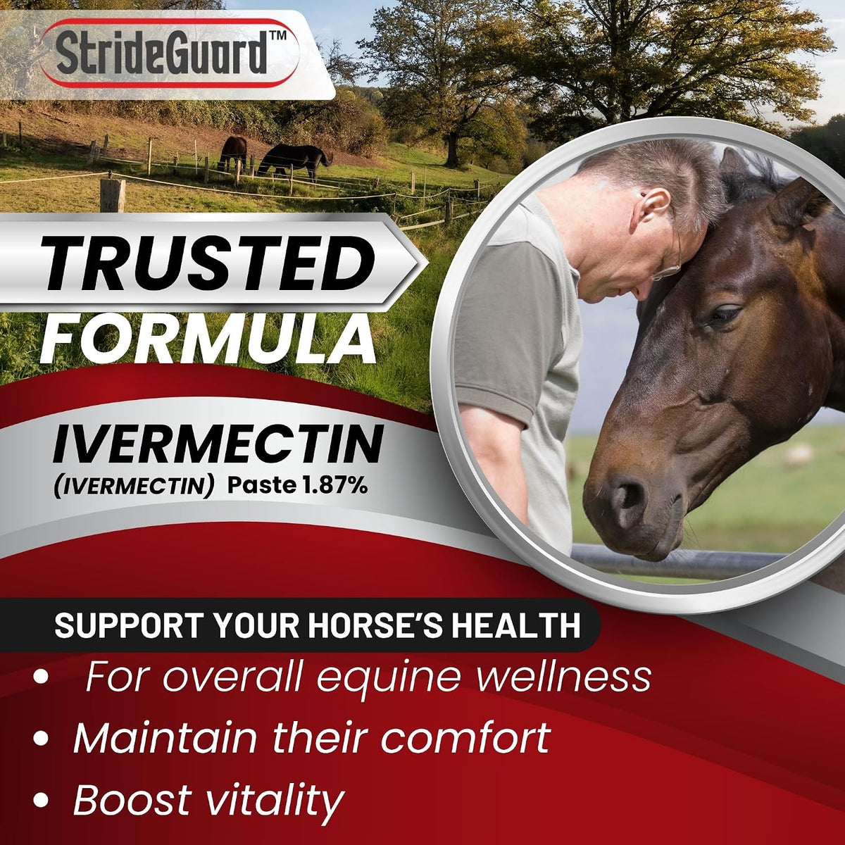 horse ivermectin paste 1.87% – apple flavored oral shown in use