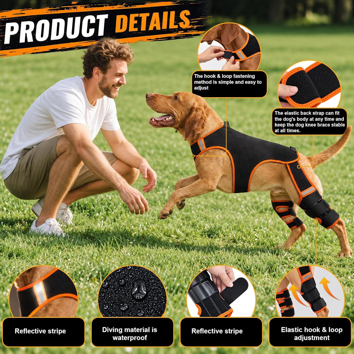 dog knee brace for back leg, acl/ccl tear showing dimensions