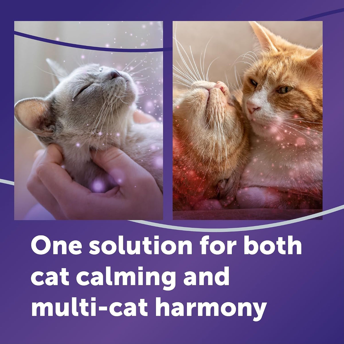 feliway optimum cat calming pheromone diffuser refill shown in use