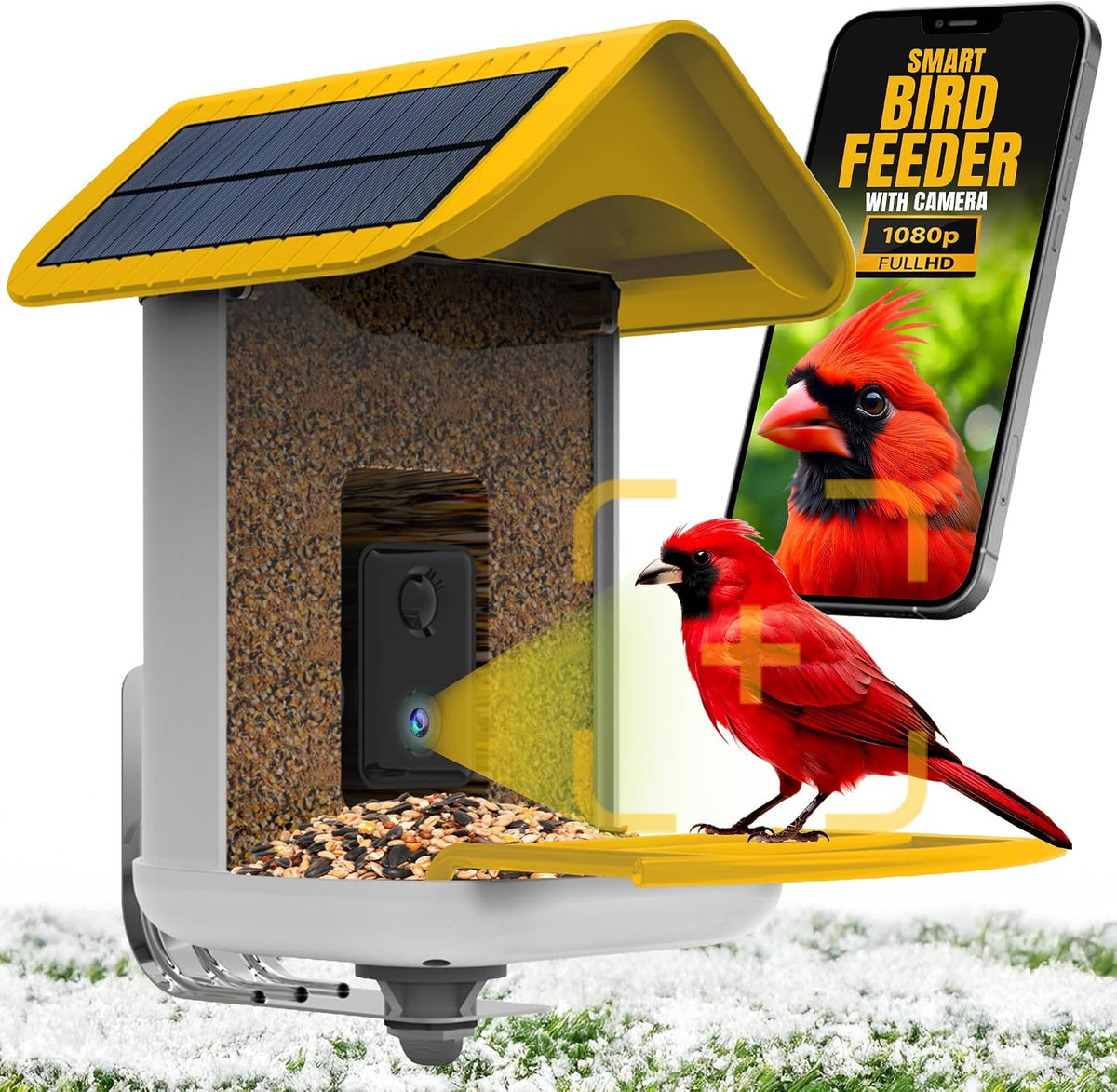 smart bird feeder with camera solar powered, main product view
