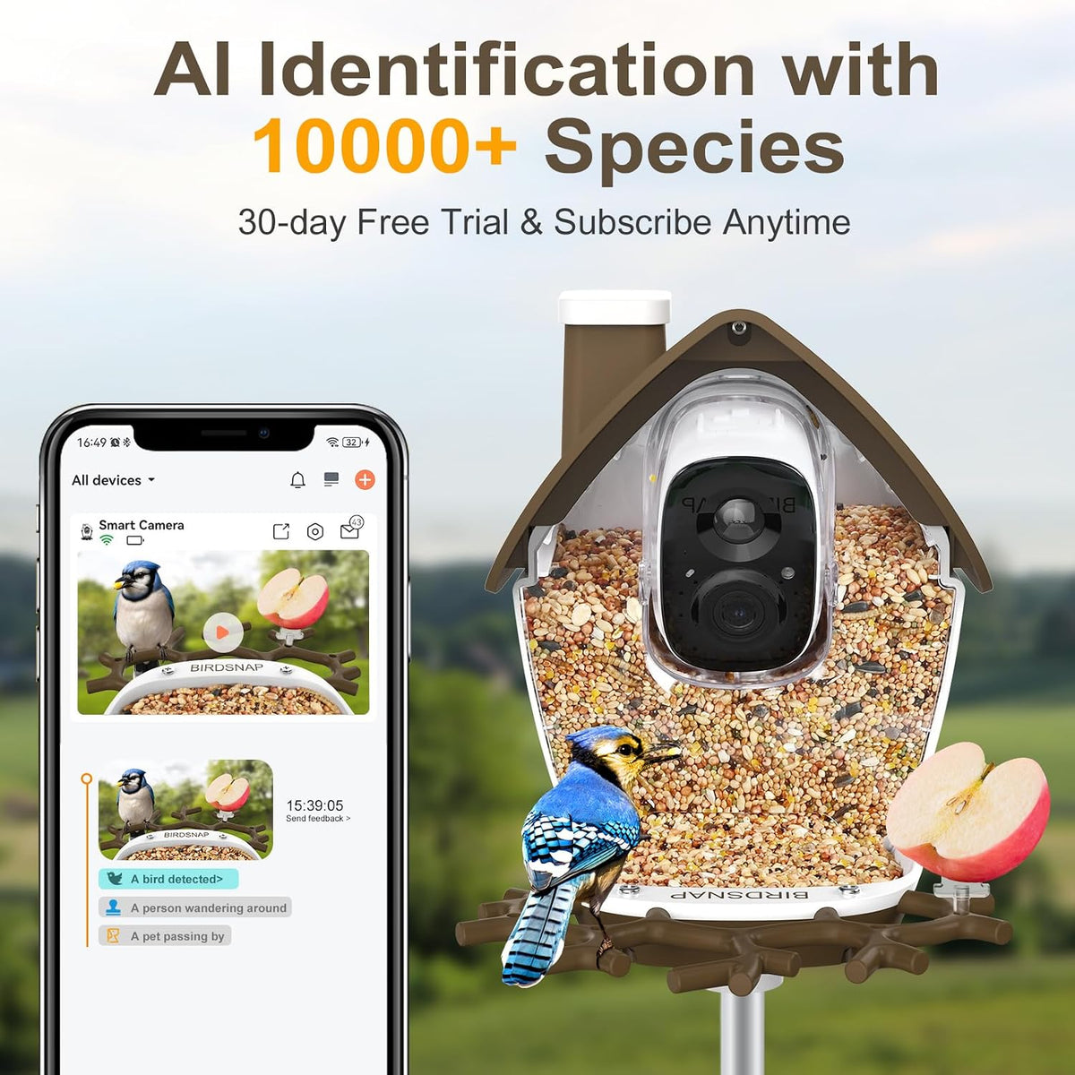 smart bird feeder with camera solar powered 2k shown in use