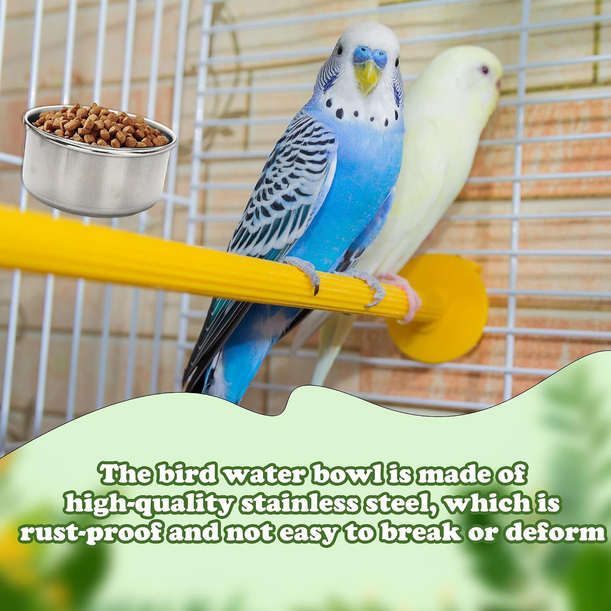 bird food bowls stainless steel parrot cage water, close-up detail