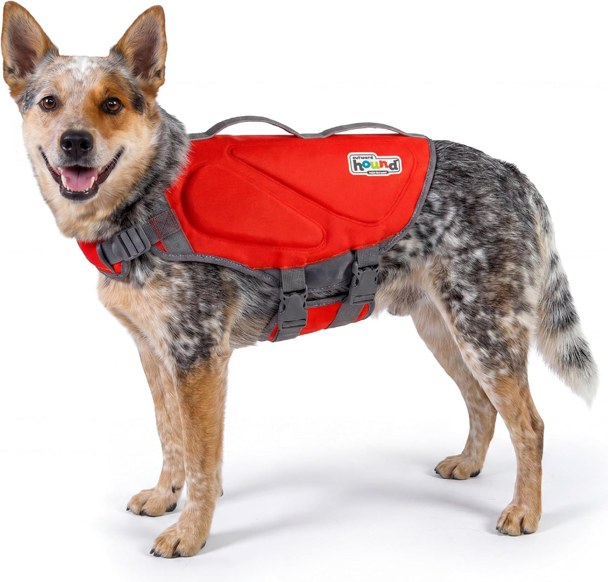 outward hound dawson swim dog life jacket, life, main product view