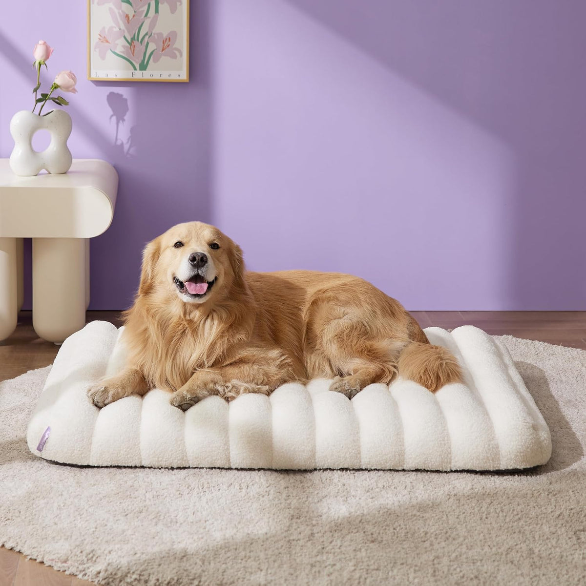 le sure cute orthopedic dog bed for extra, main product view