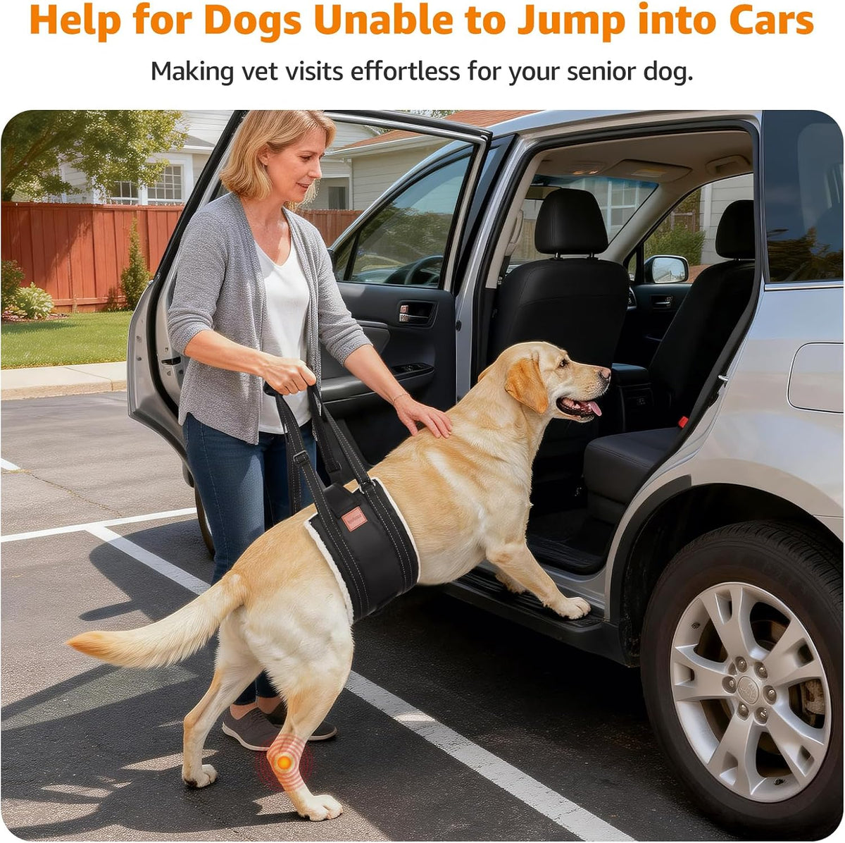 loobani adjustable dog sling for large dogs hind, side view