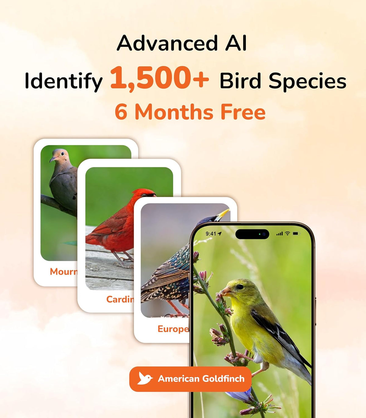 sensforge smart ai bird feeder camera, 2.5k hd shown in use