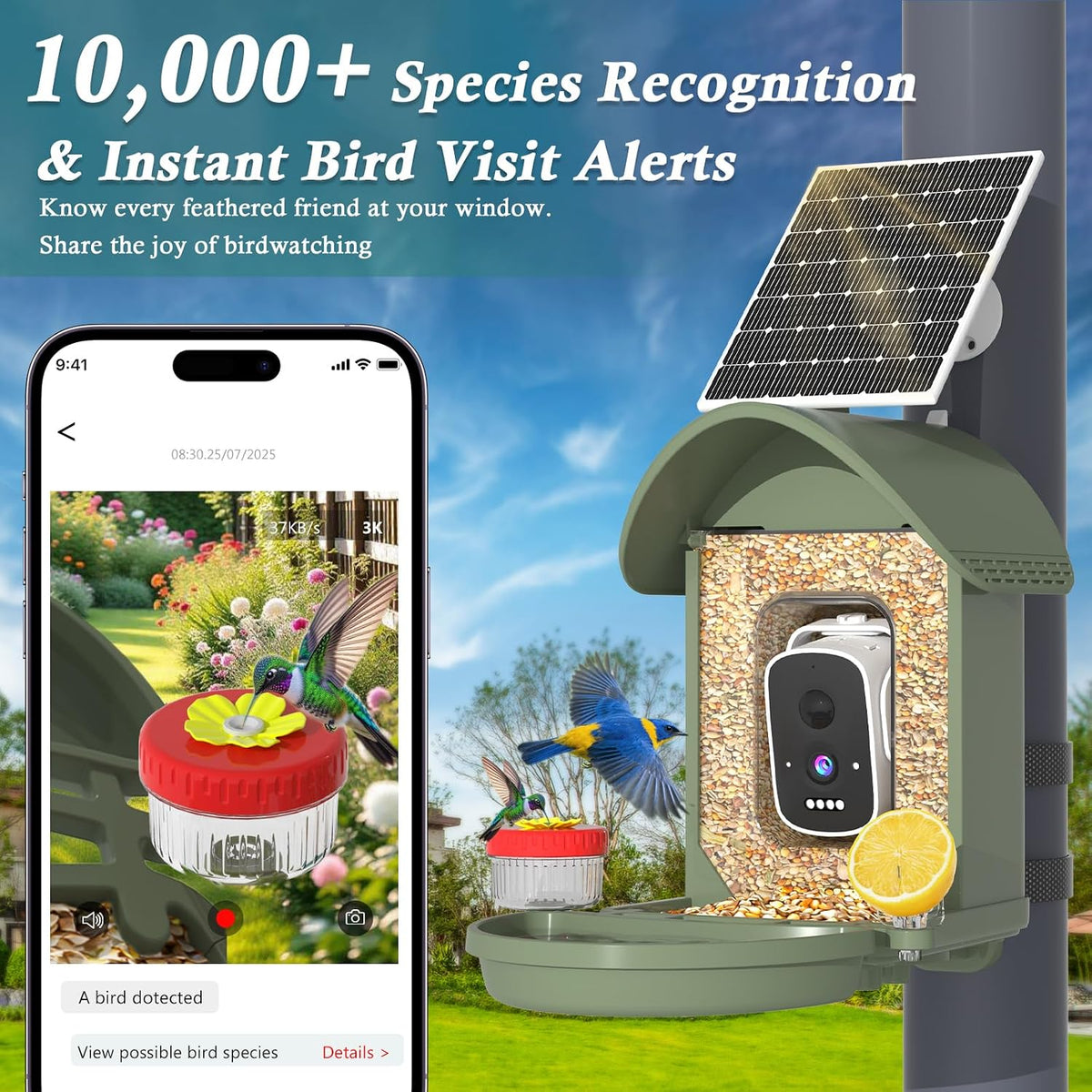 3k smart bird feeder with camera, ai bird, close-up detail
