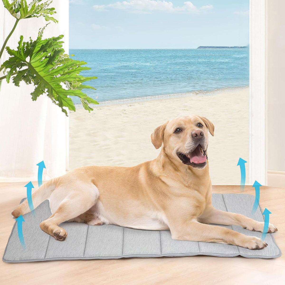 dog cooling mat for large dogs, 41"x27" memory, side view