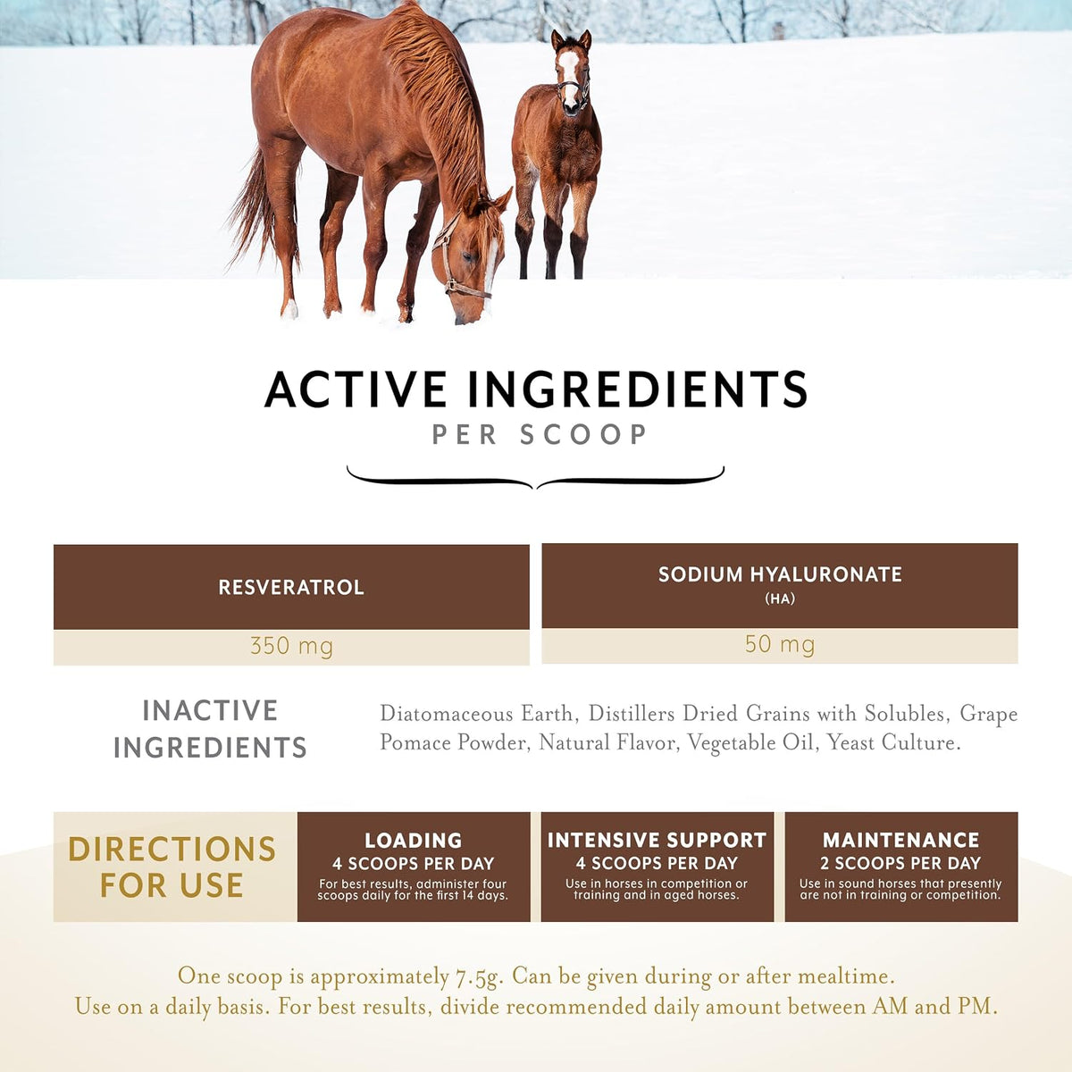 equithrive original joint powder horse supplement, molasses flavor, side view