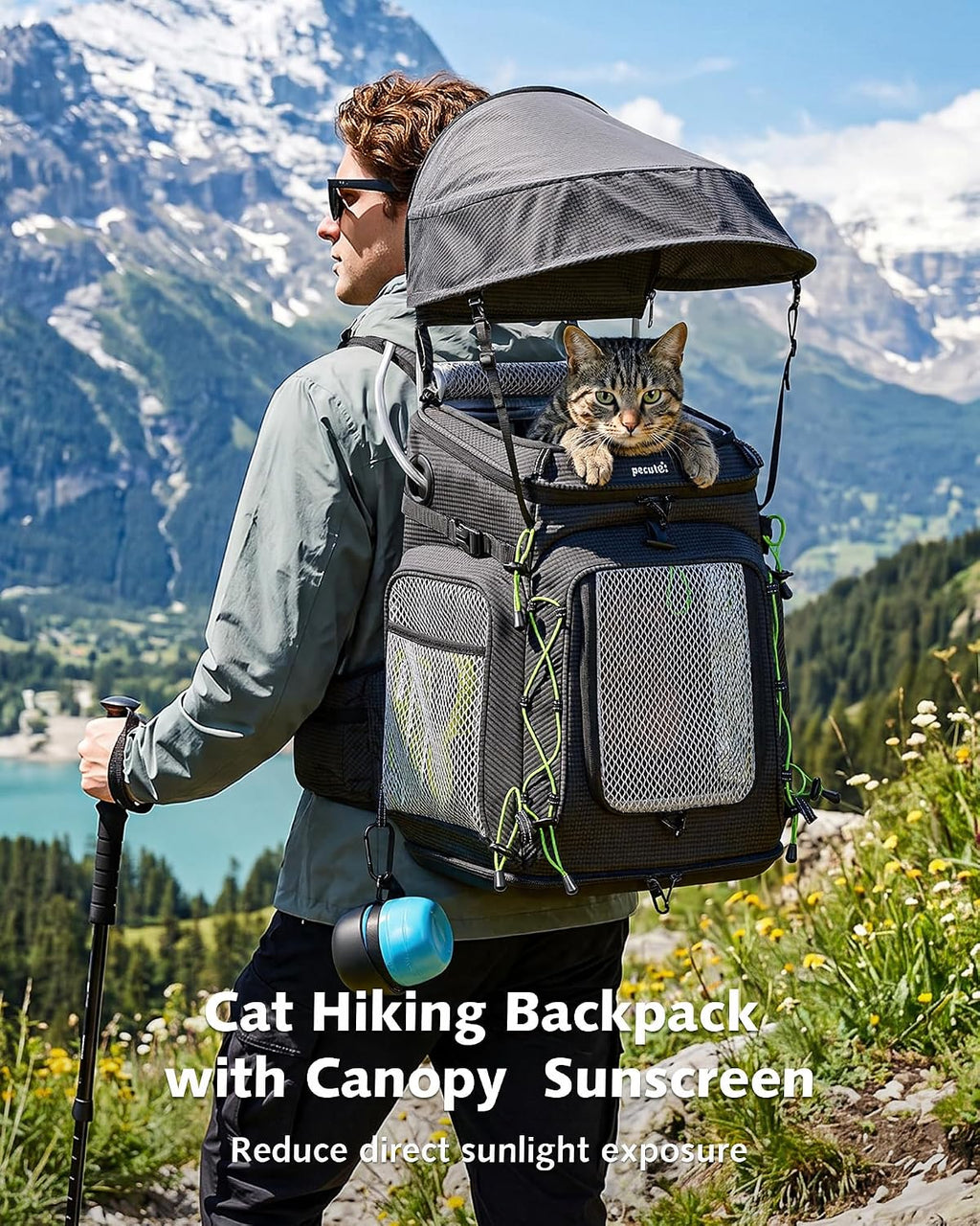 pecute cat backpack carrier,pet carrier backpack for hiking,ergonomic,black shown in use