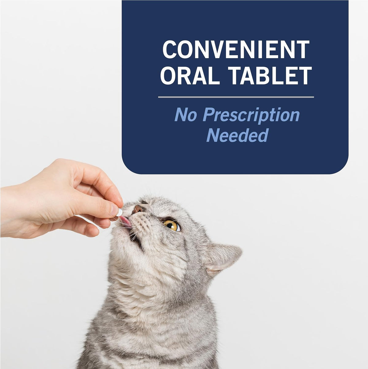 petarmor capaction oral flea tablets cats 2-25 lbs showing dimensions