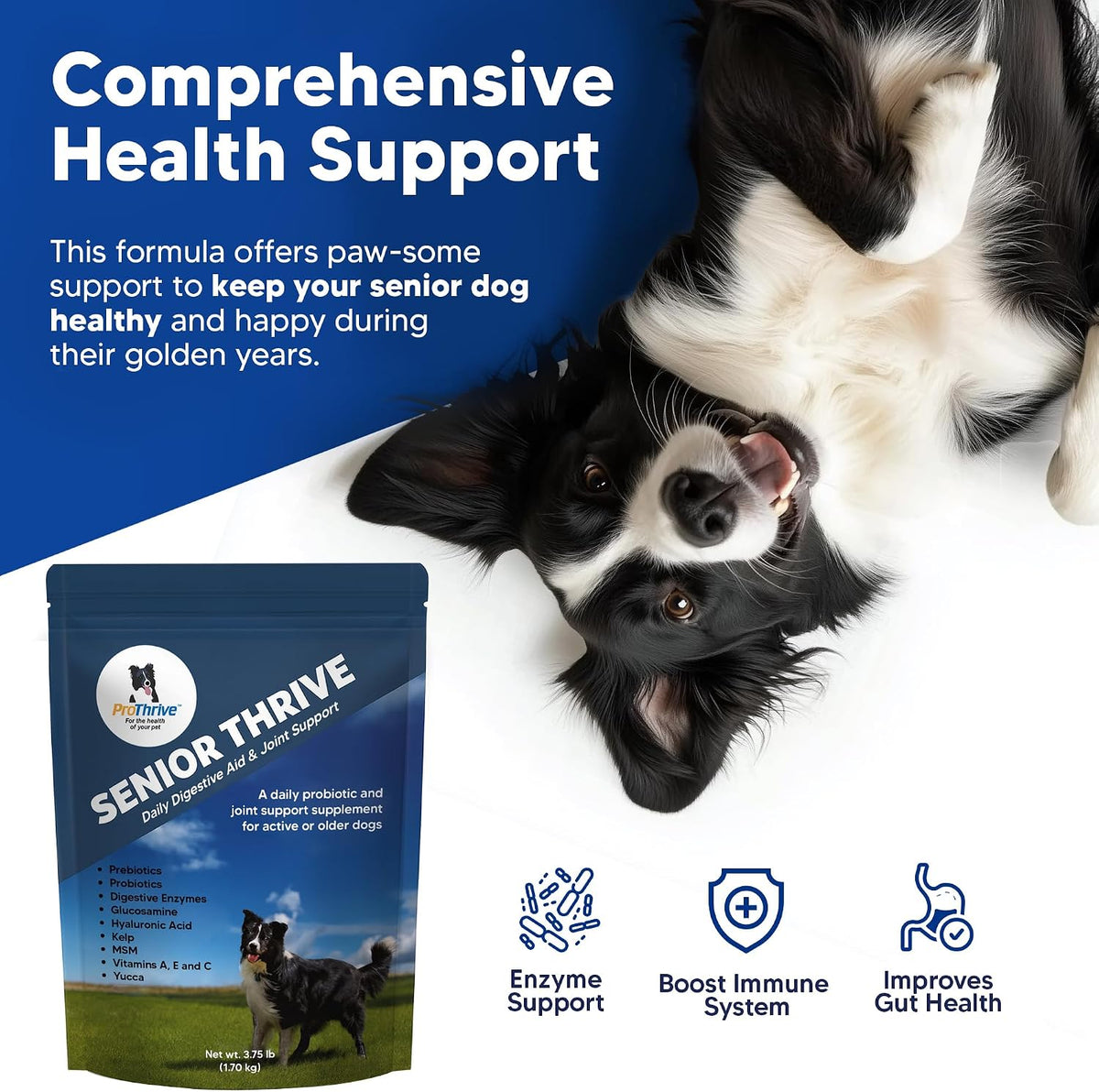 prothrive senior dog digestive & joint supplement, close-up detail