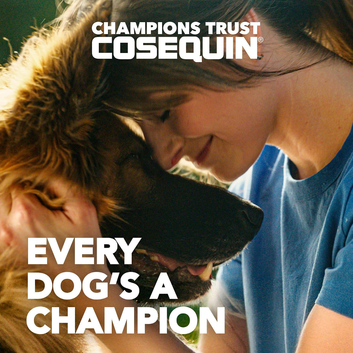 nutramax cosequin joint supplement for dogs, msm+ha, chew shown in use