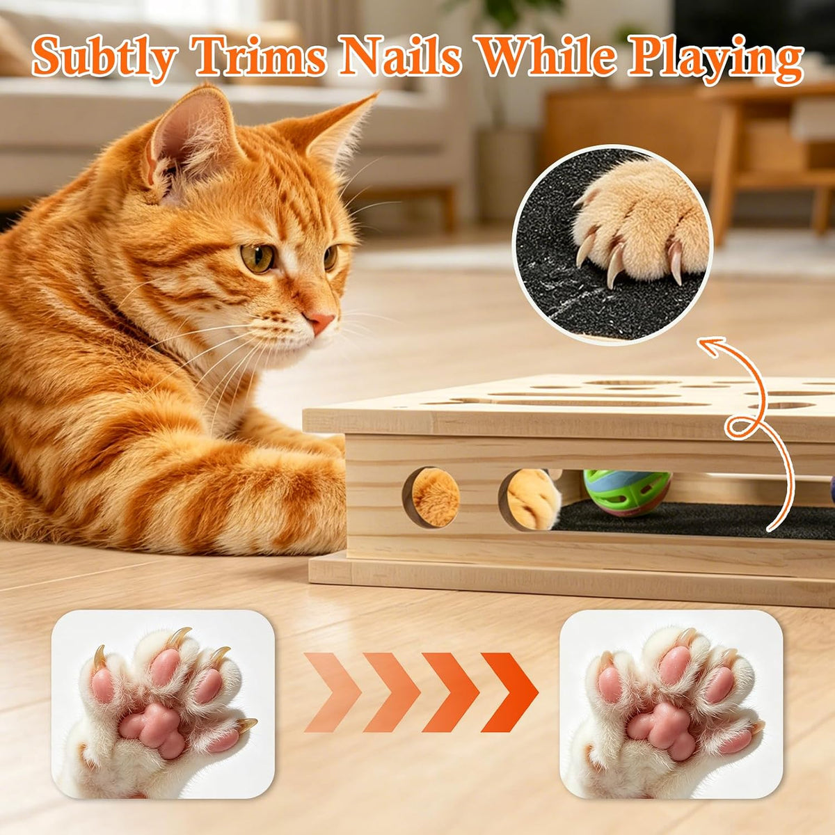 cat nail file enrichment box, sandpaper scratcher toy, close-up detail