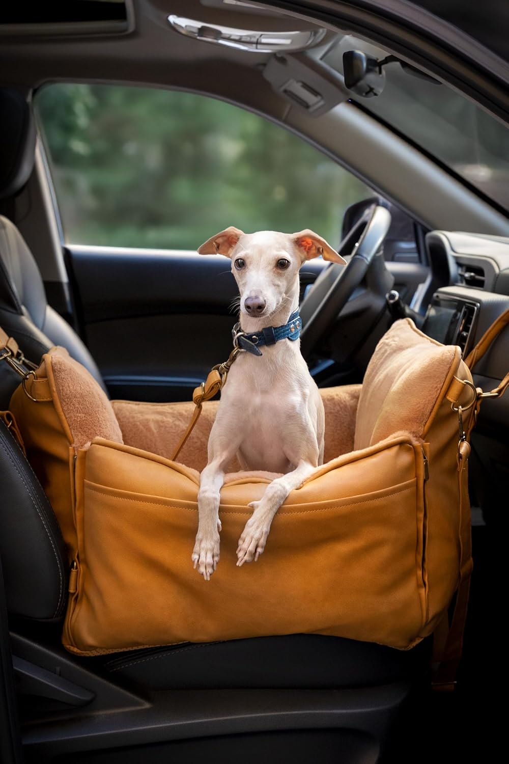 noah & paw dog car seat for small shown in use