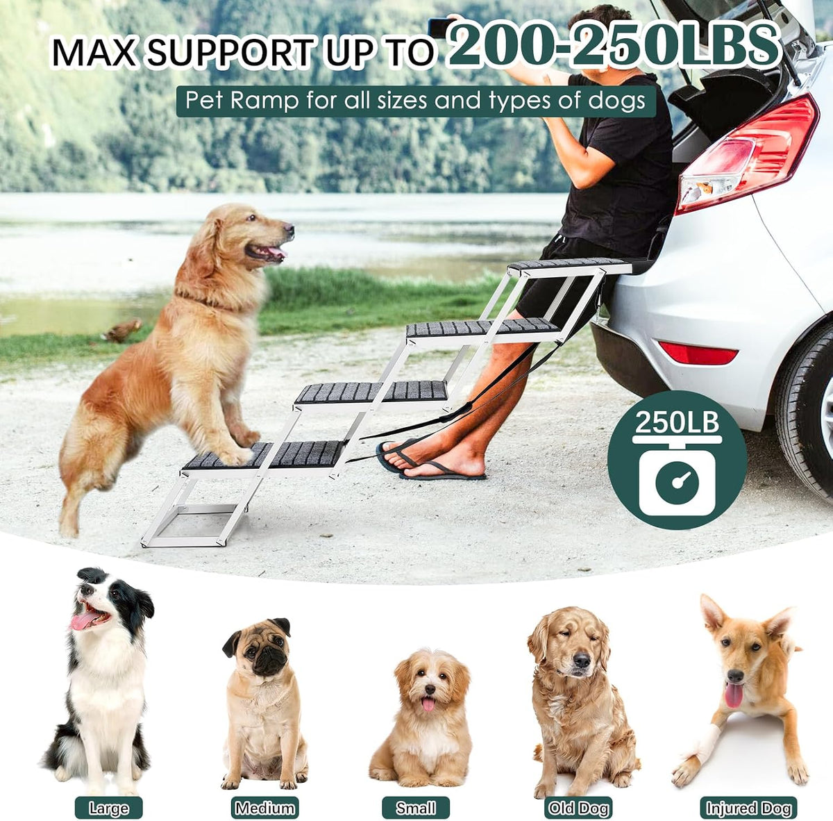 joyrally dog steps for car, foldable 4-step stairs showing dimensions