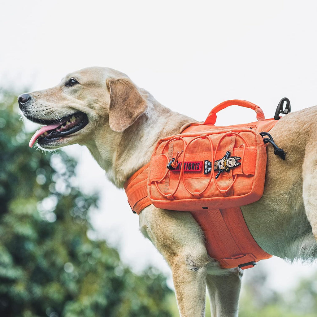onetigris dog backpack for medium & large dogs on a desk or shelf
