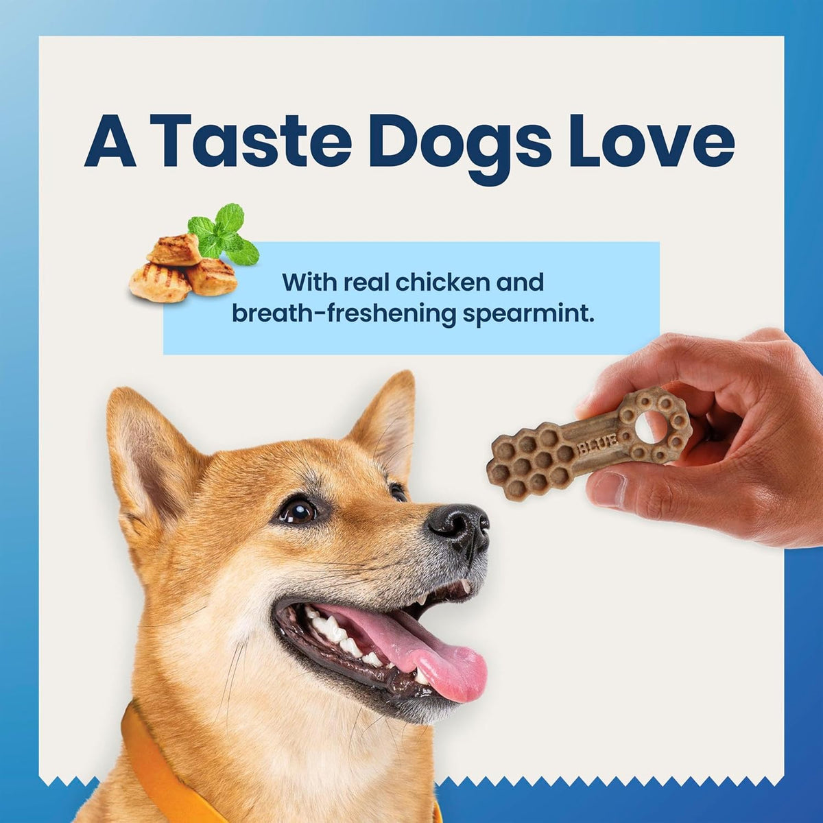 blue buffalo chicken & spearmint small dental chews, close-up detail