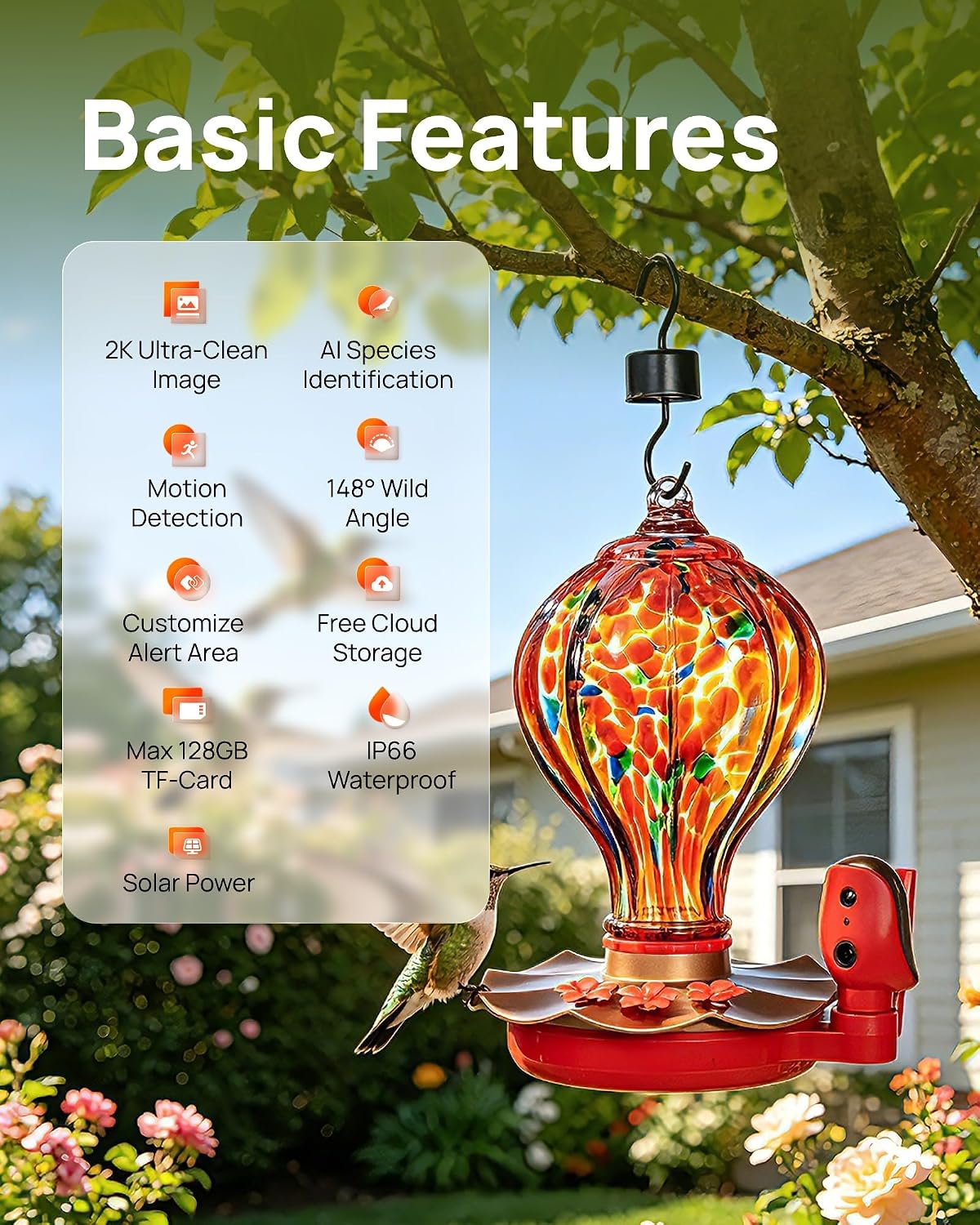 smart hummingbird feeder with camera for outdoors, hand showing dimensions