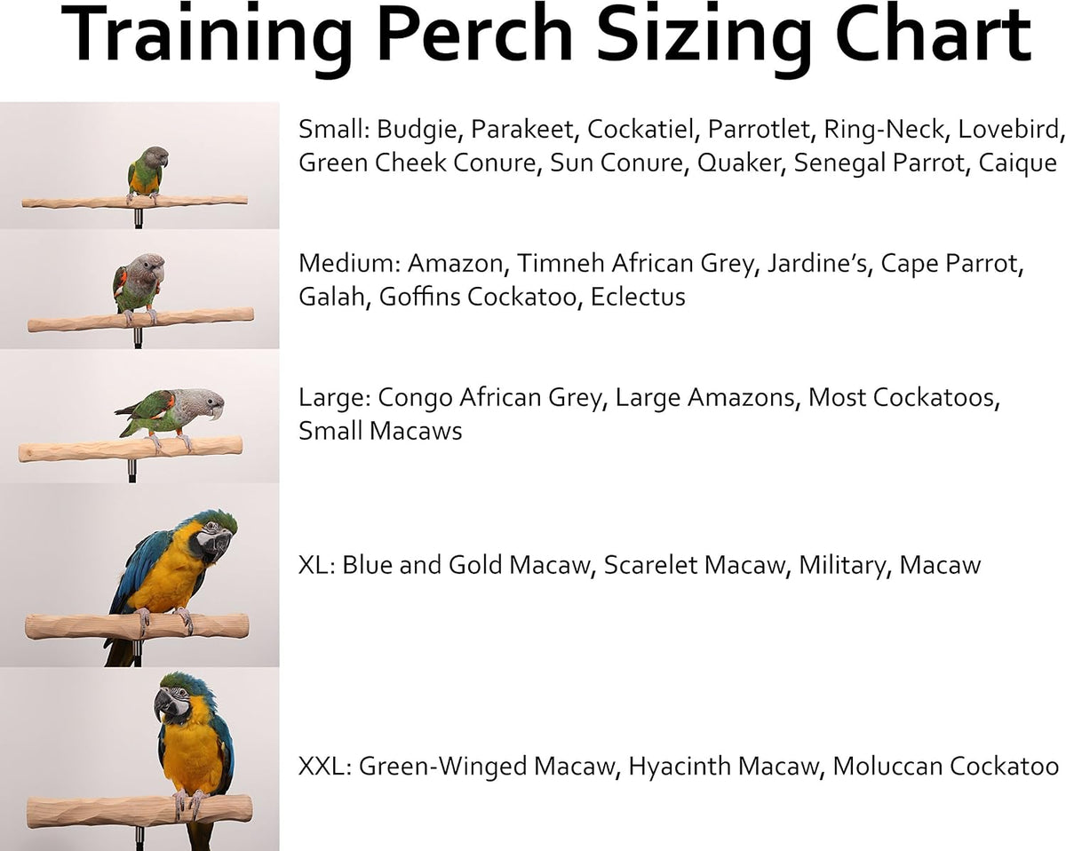 parrot training perch kit (t perch, medium) showing dimensions