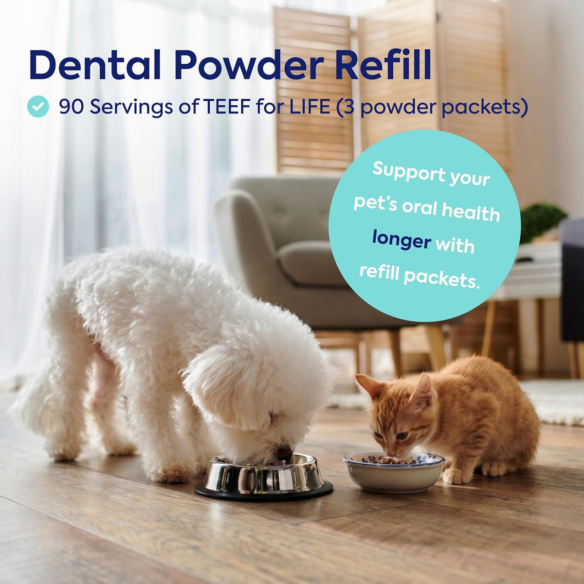 teef for life protektin42k prebiotic pet dental powder showing dimensions