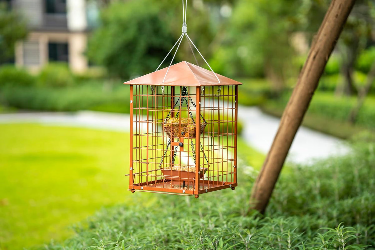 mealworm bird feeders, squirrel-proof bluebirdshanging bird feeder with showing dimensions