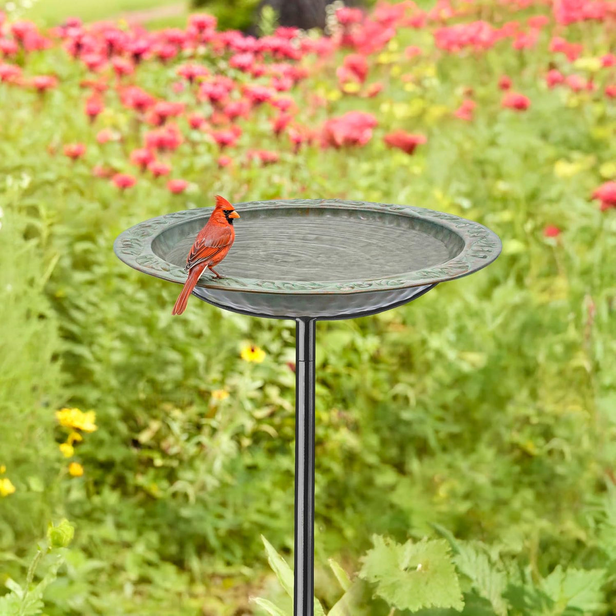 good directions blue verde bird bath on garden shown in use
