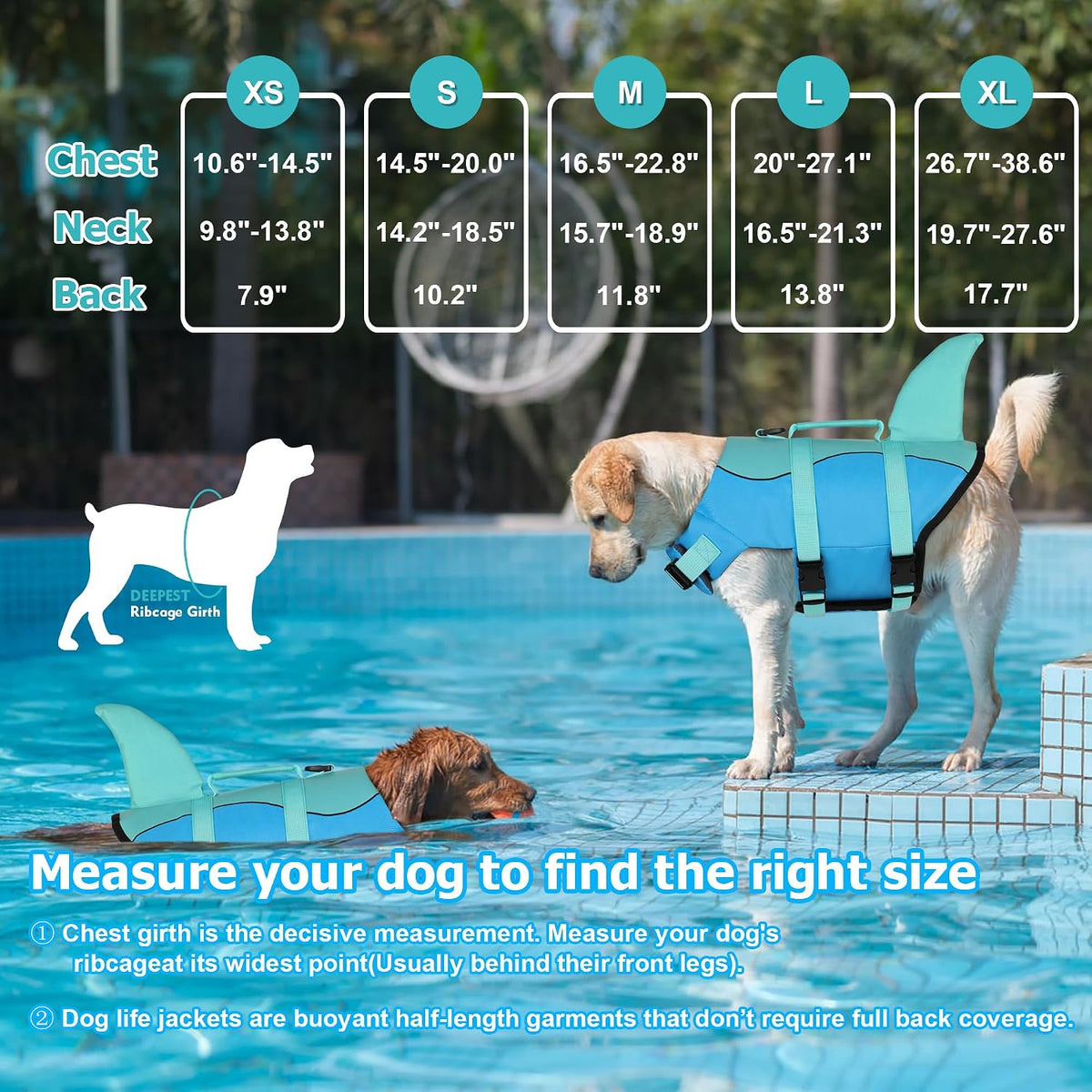 dogcheer dog life jacket, cute shark dog life shown in use
