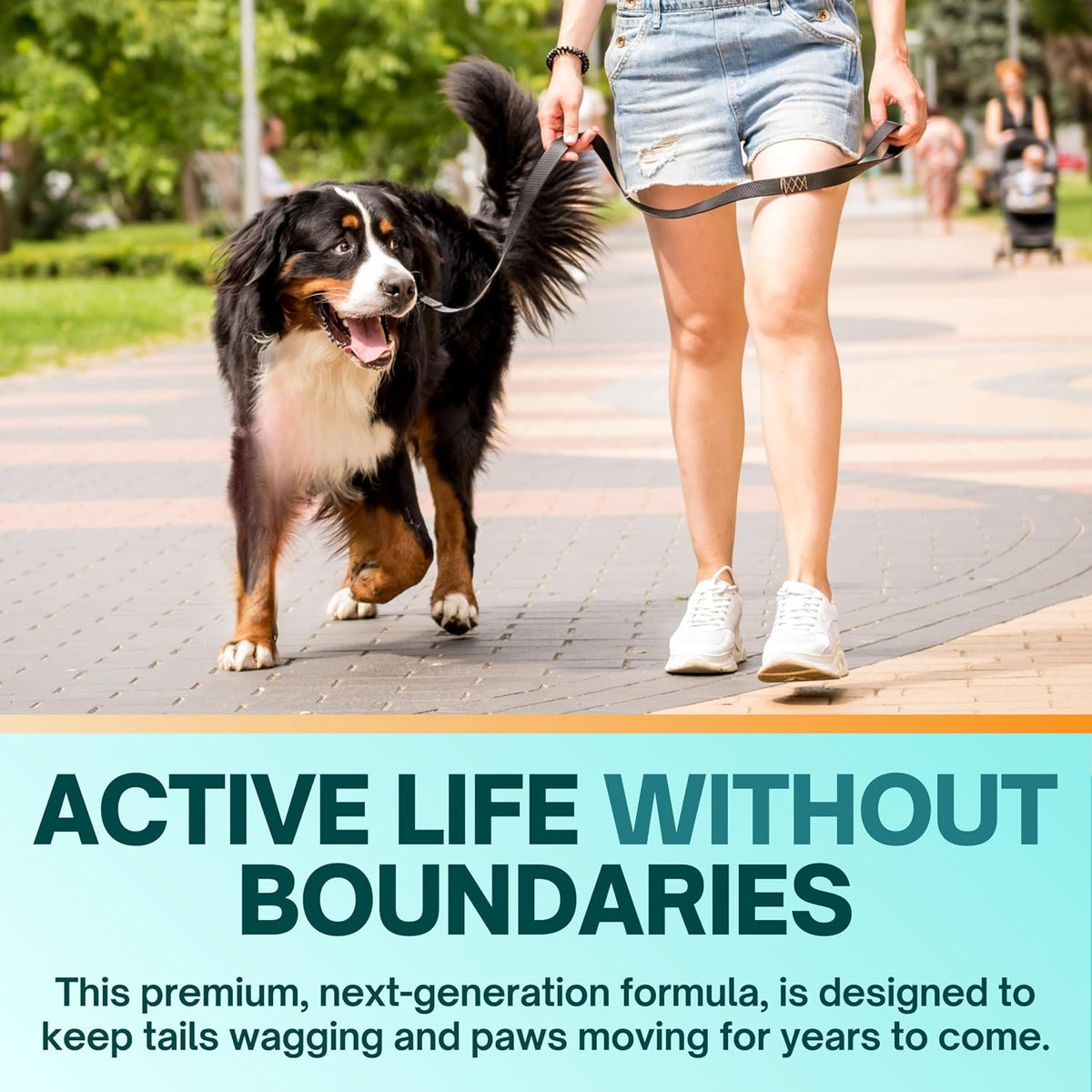 cm joint care for dogs hip & joint showing dimensions