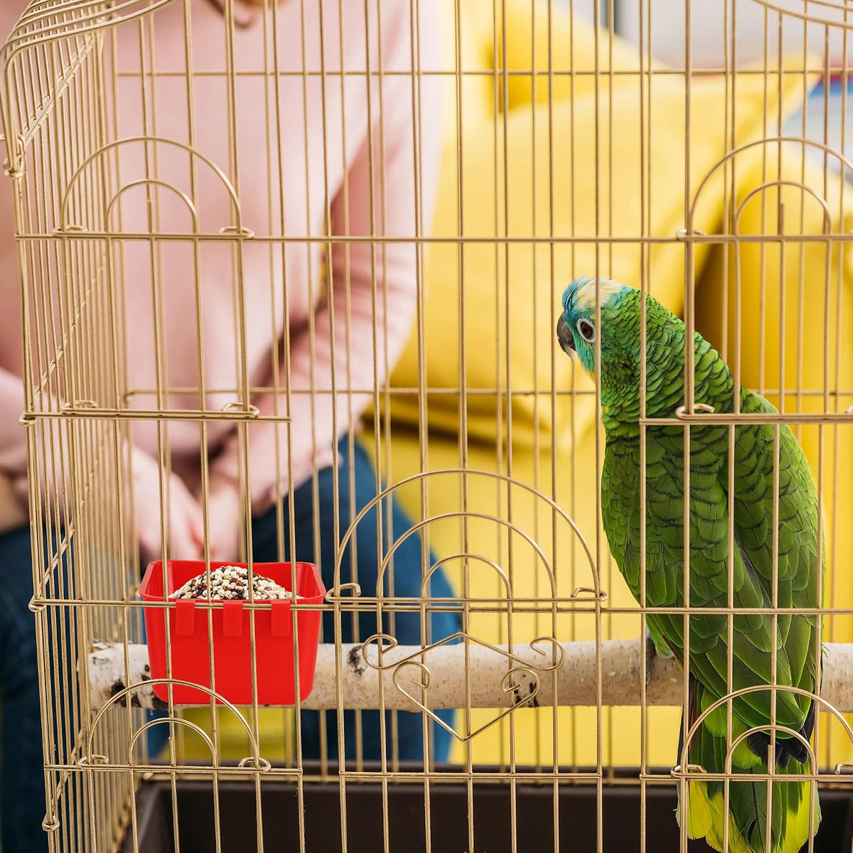 cage cups chicken feeder cups 16 oz hanging showing dimensions