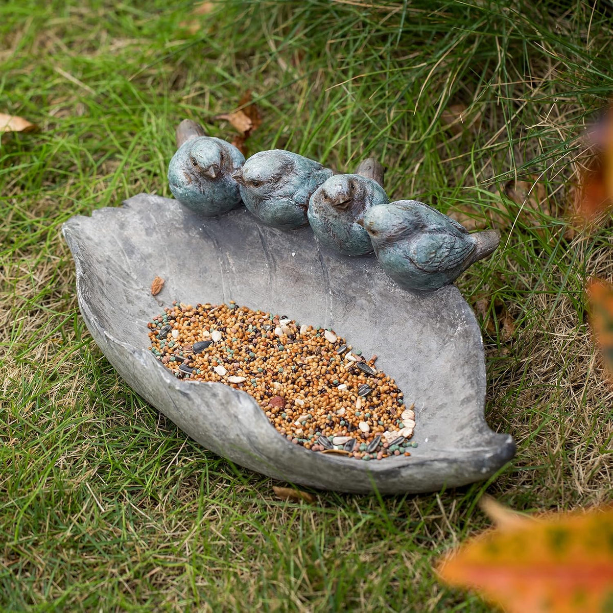 bird-feeder wild bird-bath bowl outdoors - garden decor, close-up detail