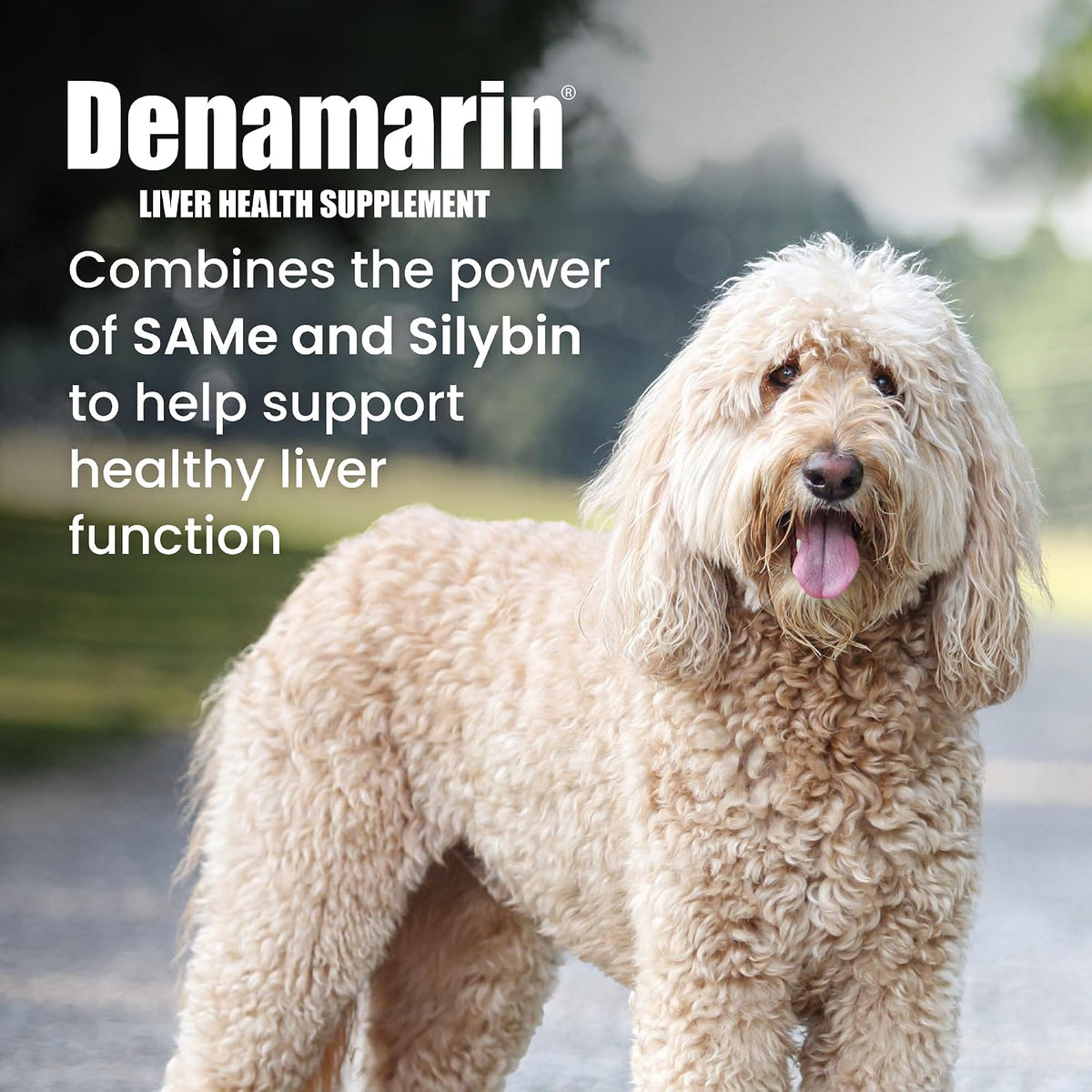 nutramax denamarin for large dogs, liver health supplement shown in use