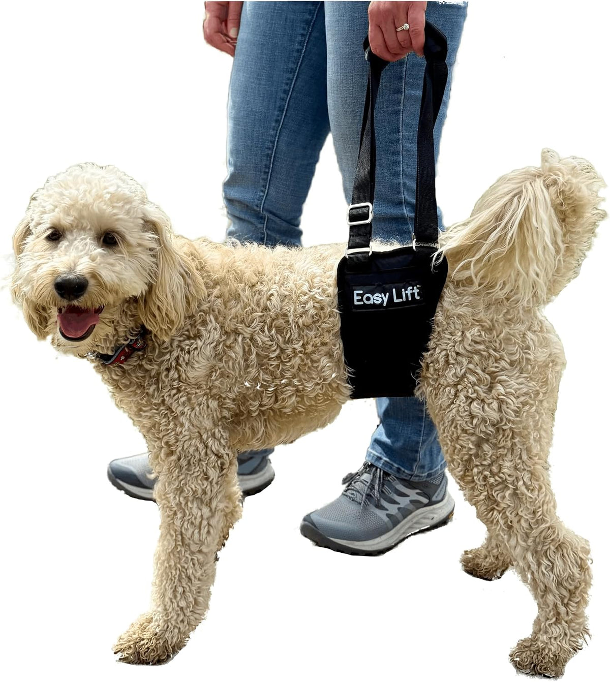 easy lift® dog hind leg support slings, medium showing dimensions