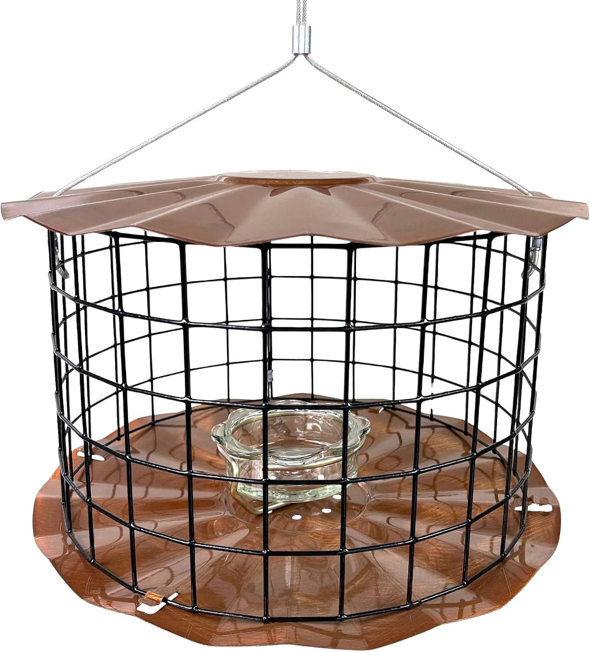 erva starling-proof barrier guard bluebird feeder with glass, main product view