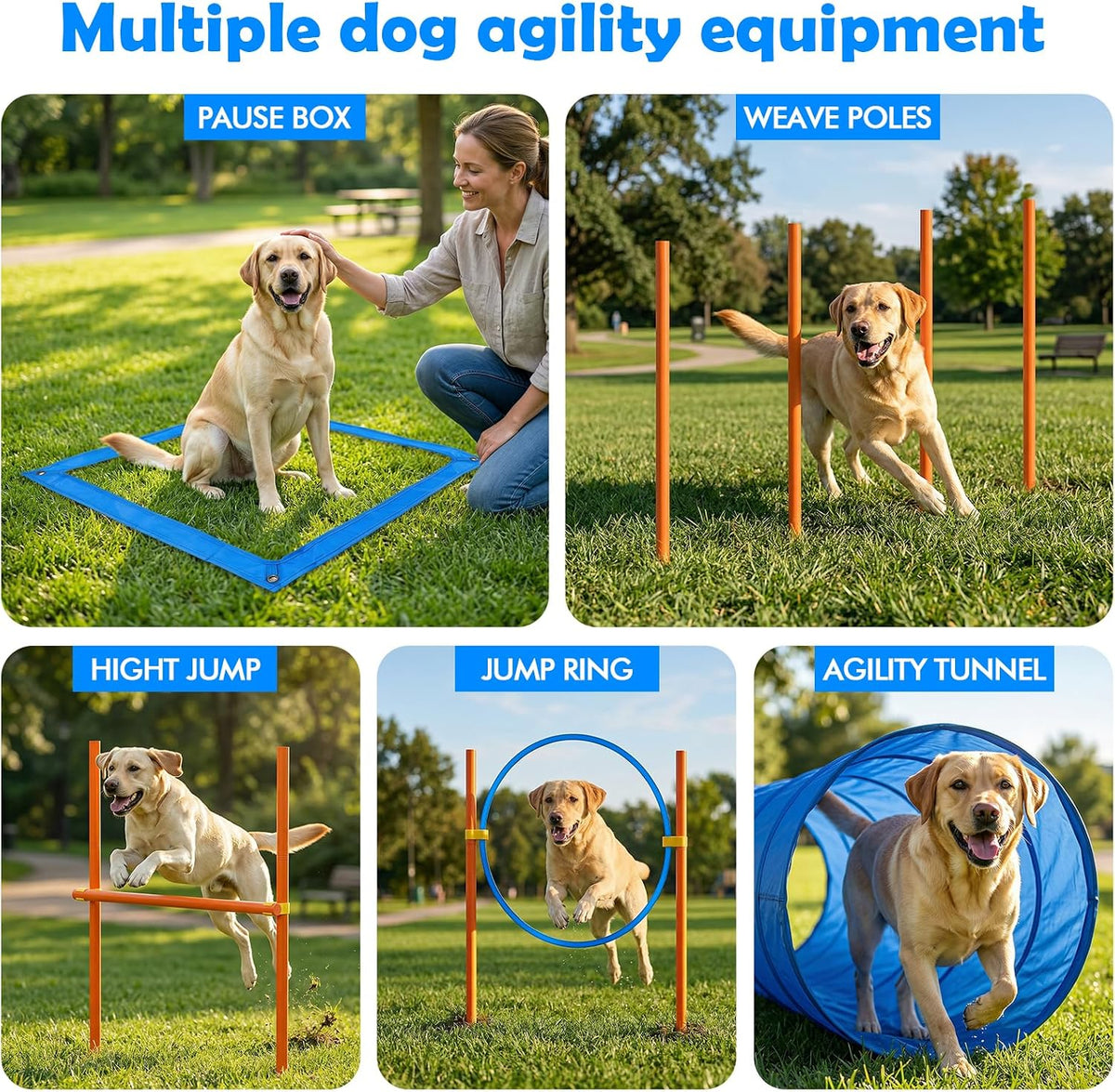 xiaz dog agility course backyard set, dog obstacle, side view