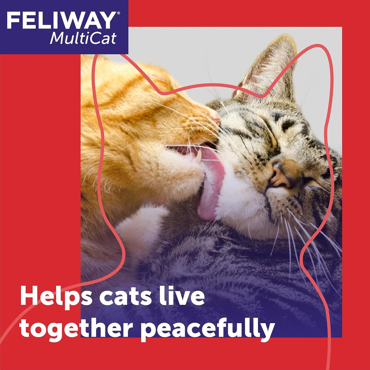 feliway multicat cat calming pheromone diffuser refill shown in use