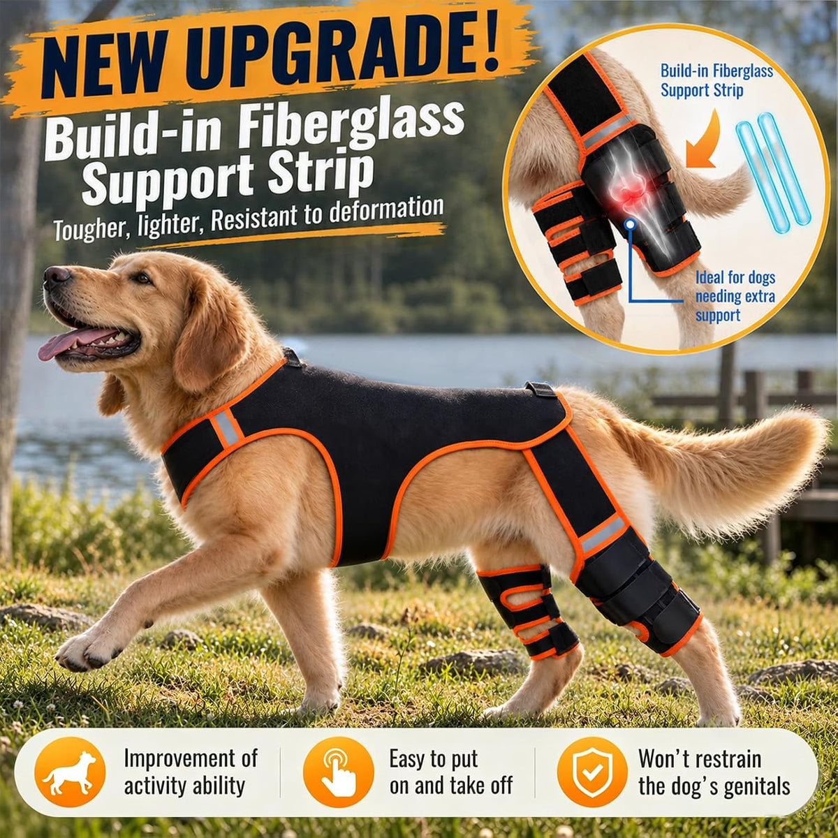 dog knee brace for back leg, acl/ccl tear shown in use
