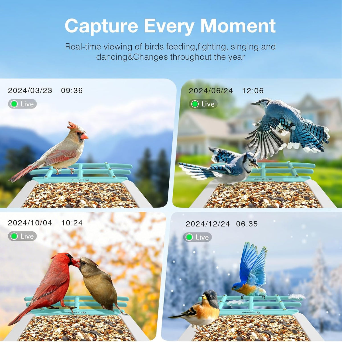 smart bird feeder with camera, 2.5k live cam showing dimensions