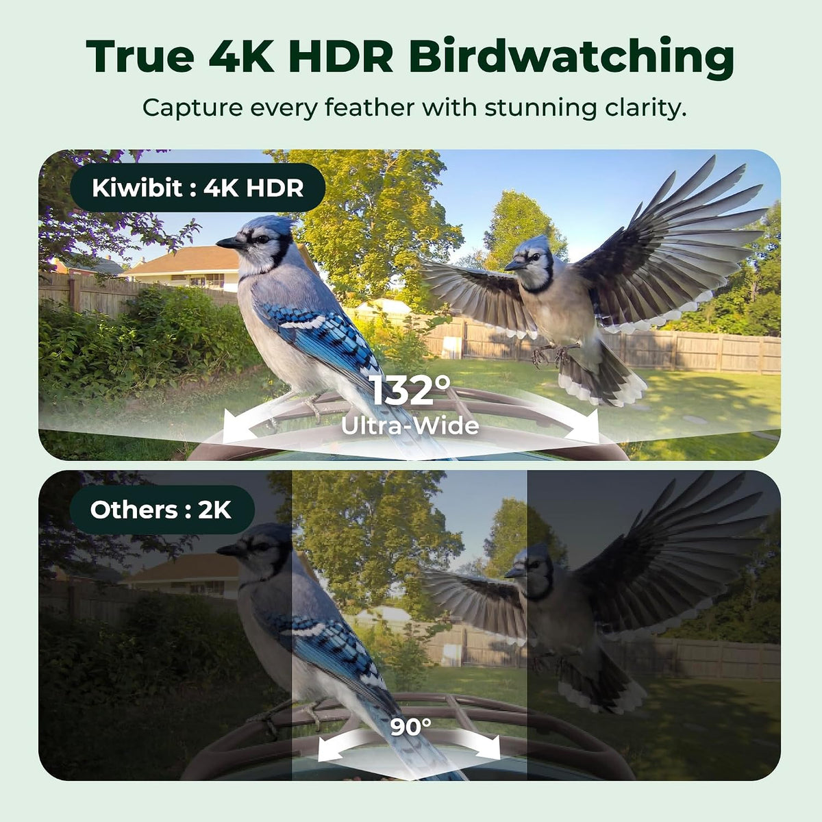 kiwibit smart bird feeder with 4k ai camera shown in use