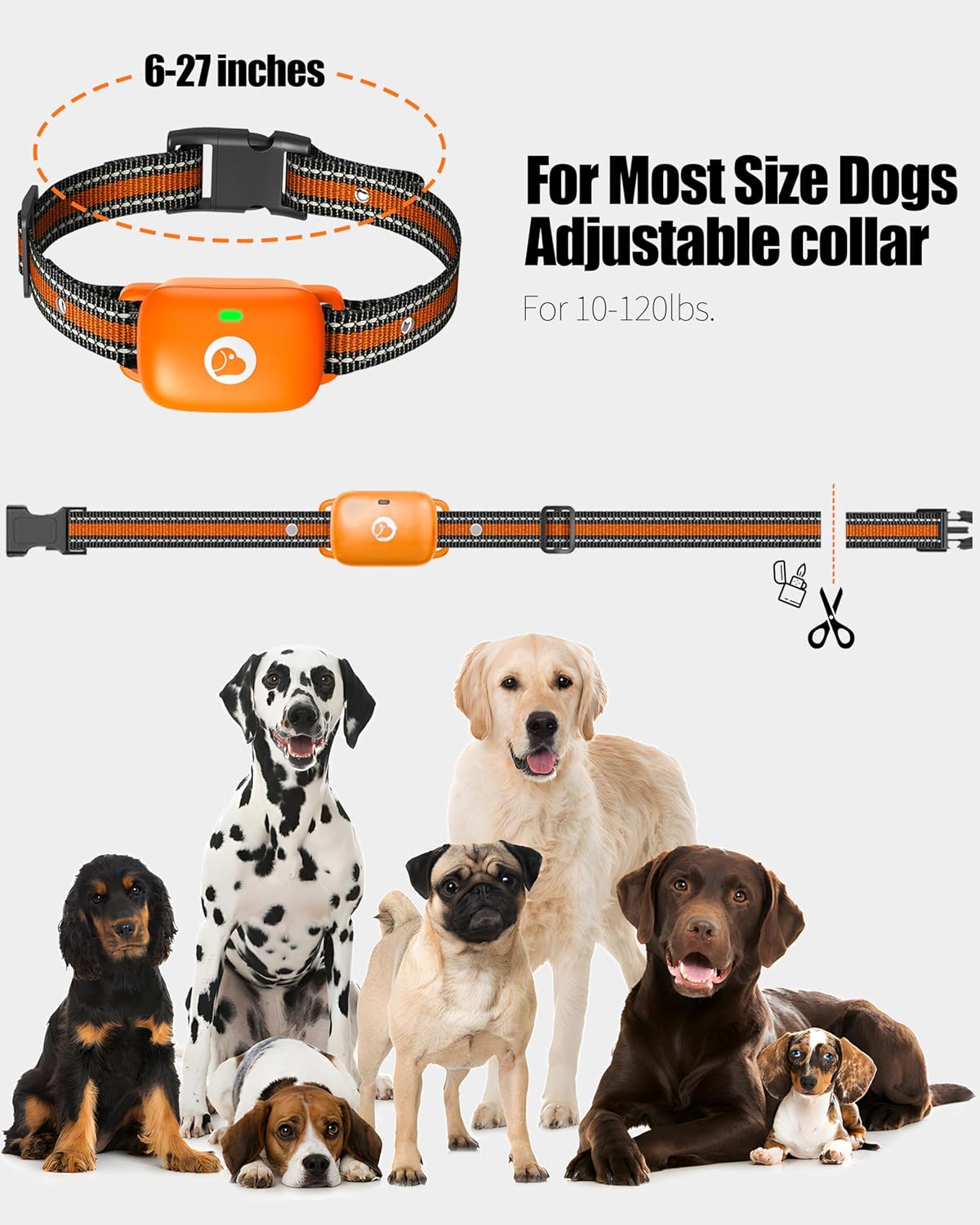 dog training collar with remote,2600ft shock collar for shown in use