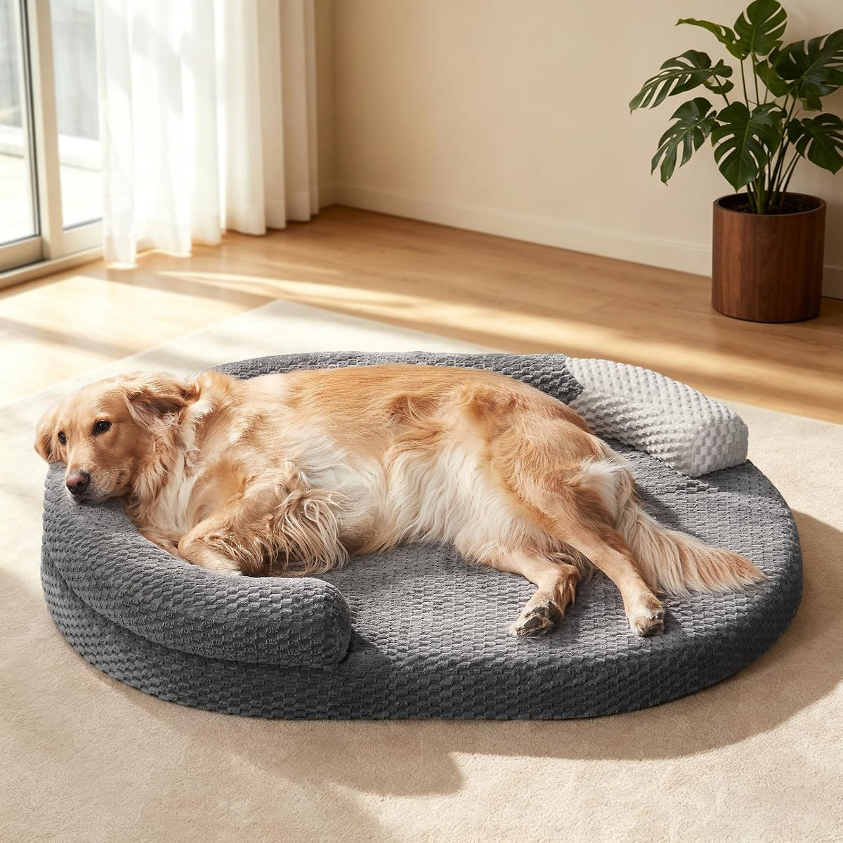 joejoy xl orthopedic dog beds large sized dog, main product view